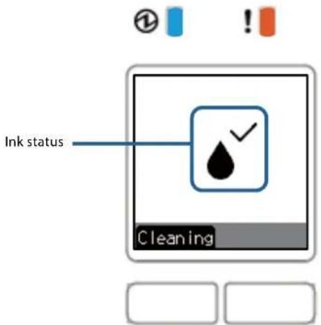 Ink status Cleaning