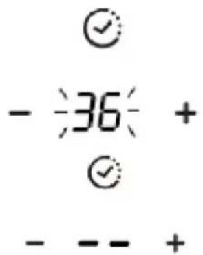 - 36 + - - - +