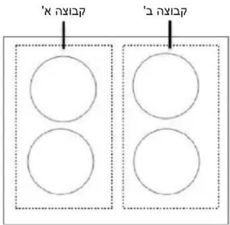 בְרָא' אַרִי בְרָא' אַרִי