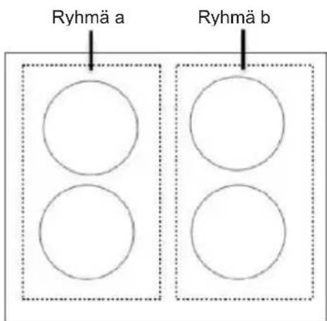 Ryhmä a Ryhmä b