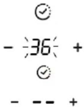 - 36 + - - - +