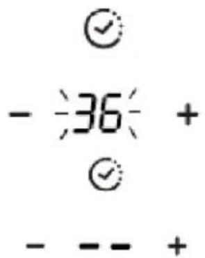 - 36 + - - - +