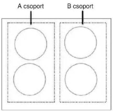 A csoport B csoport