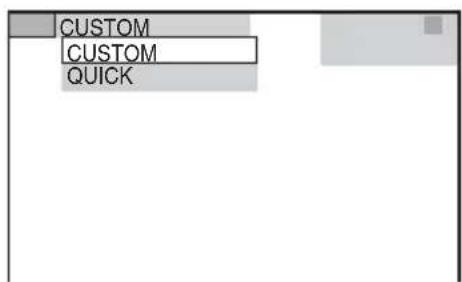 CUSTOM CUSTOM QUICK