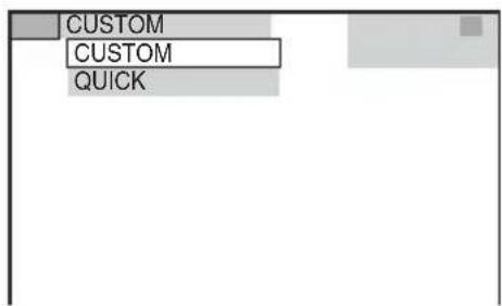 CUSTOM CUSTOM QUICK
