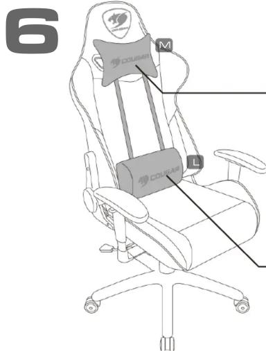 6 M COUGAR L