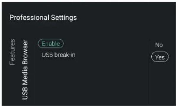 Professional Settings Features USB Media Browser Enable USB break-in No Yes