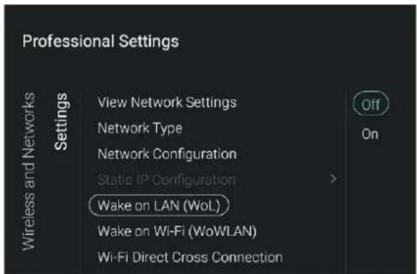 Professional Settings View Network Settings Network Type Network Configuration Static IP Configuration Wake on LAN (WoL) Wake on Wi-Fi (WoWLAN) Wi-Fi Direct Cross Connection