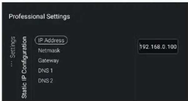 Professional Settings IP Address Netmask Gateway DNS 1 DNS 2 192.168.0.100 Static IP Configuration
