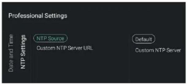 Professional Settings Date and Time NTP Settings NTP Source Custom NTP Server URL Default Custom NTP Server