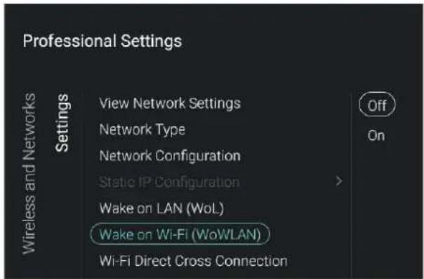 Professional Settings View Network Settings Network Type Network Configuration Static IP Configuration Wake on LAN (WoL) Wake on Wi-Fi (WoWLAN) Wi-Fi Direct Cross Connection Off On