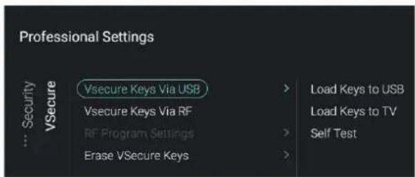 Professional Settings VSecure Keys Via USB VSecure Keys Via RF RF Program Settings Erase VSecure Keys Load Keys to USB Load Keys to TV Self Test