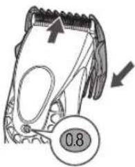 0.8
