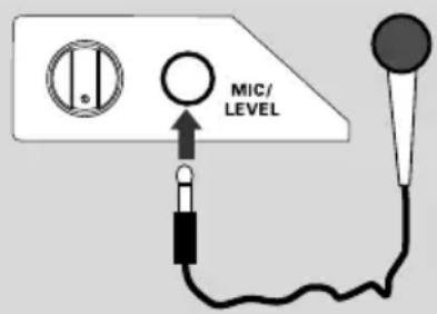 MIC/ LEVEL