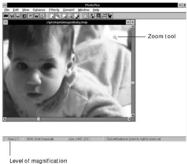 PhotoPlus File Edit View Enhance Effects Convert Window Help clphotopisimagesbaby.bmp Zoom tool View 2.1 381K, 8-bit Grayscale pos: [407, 213] Click left button to zoom in right to zoom out Level of magnification