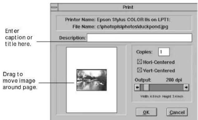 Print Printer Name: Epson Stylus COLOR IIs on LPT1: File Name: c:\photopls\photos\duckpond.jpg Description: Enter caption or title here. Drag to move image around page. Copies: 1 Hori-Centered Vert-Centered Output: 200 dpi Width: 4.8 inch Height: 3.4 inch OK Cancel