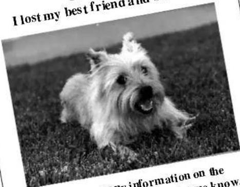 I lost my best friend and my information on the that me know.
