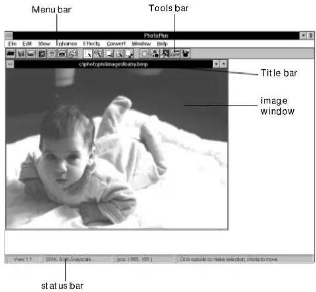 Menu bar Tools bar PhotoPlus clphotopls/images/baby.bmp Title bar image window status bar View 1.1 381K_8/Jat Grayscale pos. (665, 105) Click outside to make selection, inside to move