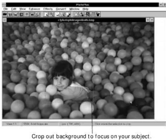 PhotoPush File Edit View Enhance Effects Convert Window Help cfPhotoPushImageLockShells.bmp View 1.1 200K, A:68 Tropical eye jpn (TYP_c489) Click into the selection to crop Crop out background to focus on your subject.