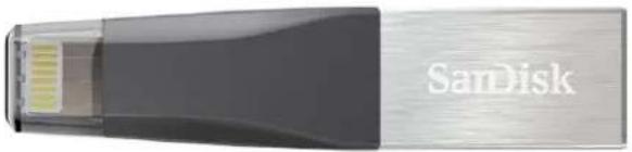 SANDISK iXpand Mini - 1
