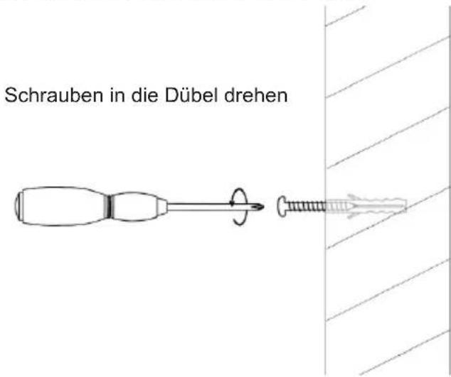Schrauben in die Dübel drehen
