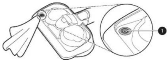 Anatomical line drawing of a fish-like biological structure with an inset close-up showing internal details (no text or labels)