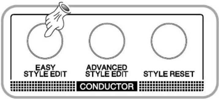 EASY STYLE EDIT ADVANCED STYLE EDIT STYLE RESET CONDUCTOR