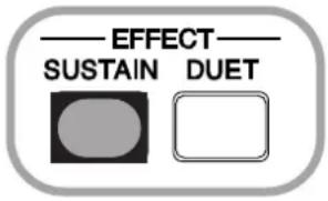 EFFECT SUSTAIN DUET