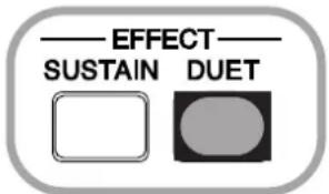 EFFECT SUSTAIN DUET