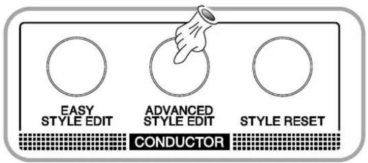 EASY STYLE EDIT ADVANCED STYLE EDIT STYLE RESET CONDUCTOR