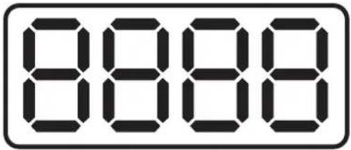 8888