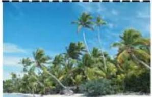 SONY NWZ-S745 - Setting the zoom function [Zoom Settings] - 5