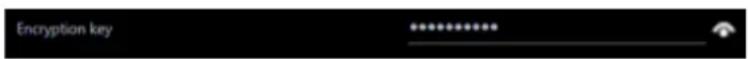 Encryption key: **********