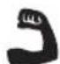 RYOBI One+ R18S18G - SYMBOL IN DIESER BEDIENUNGSANLEITUNG - 9