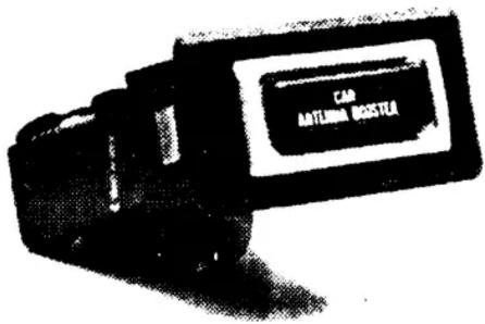 CAR ANTUMA BOSTLE