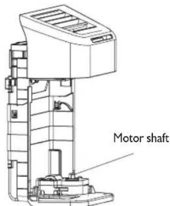 Motor shaft