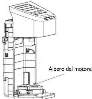 Albero del motore