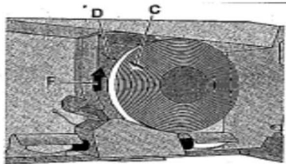 Technical diagram of a mechanical device with labeled components D, C, and F, showing internal structure and motion indicators.