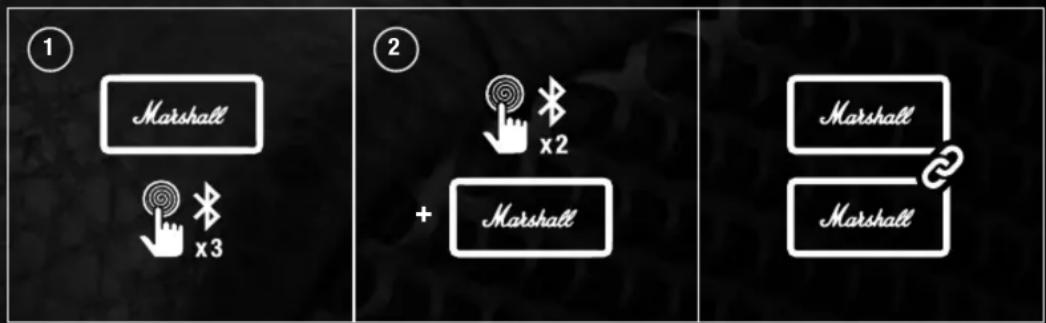① Marshall x 3 ② + Marshall Marshall