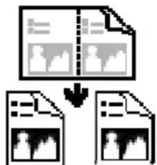 graph TD A["Input Image"] --> C["Document Review"] B["Document Review"] --> C["Document Review"] C --> D["Output Image"] style A fill:#f9f,stroke:#333 style B fill:#bbf,stroke:#333 style C fill:#dfd,stroke:#333 style D fill:#dfd,stroke:#333