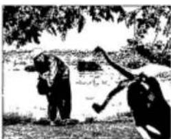 Two people outdoors near a tree, one holding a tool and the other gesturing (no visible text or symbols)