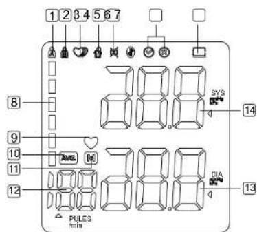 Bintoi BX300 - Meetunits - 2