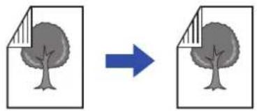 Diagram showing a tree being converted to a document, with a blue arrow indicating the process.
