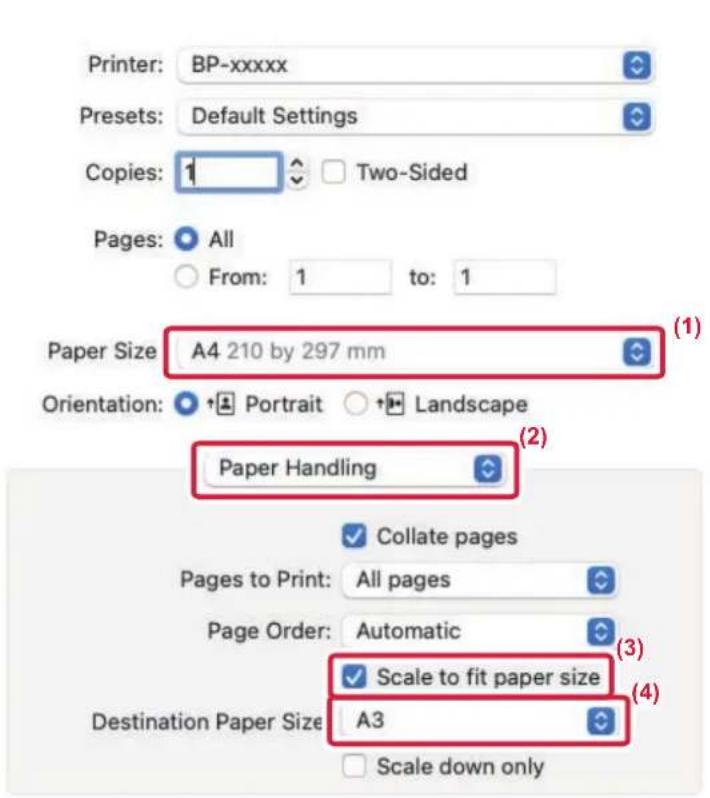 Printer: BP-xxxxx Presets: Default Settings Copies: 1 Two-Sided Pages: All From: 1 to: 1 Paper Size: A4 210 by 297 mm (1) Orientation: Portrait Landscape Paper Handling (2) Pages to Print: All pages Page Order: Automatic (3) Scale to fit paper size (4) Destination Paper Size: A3 Scale down only