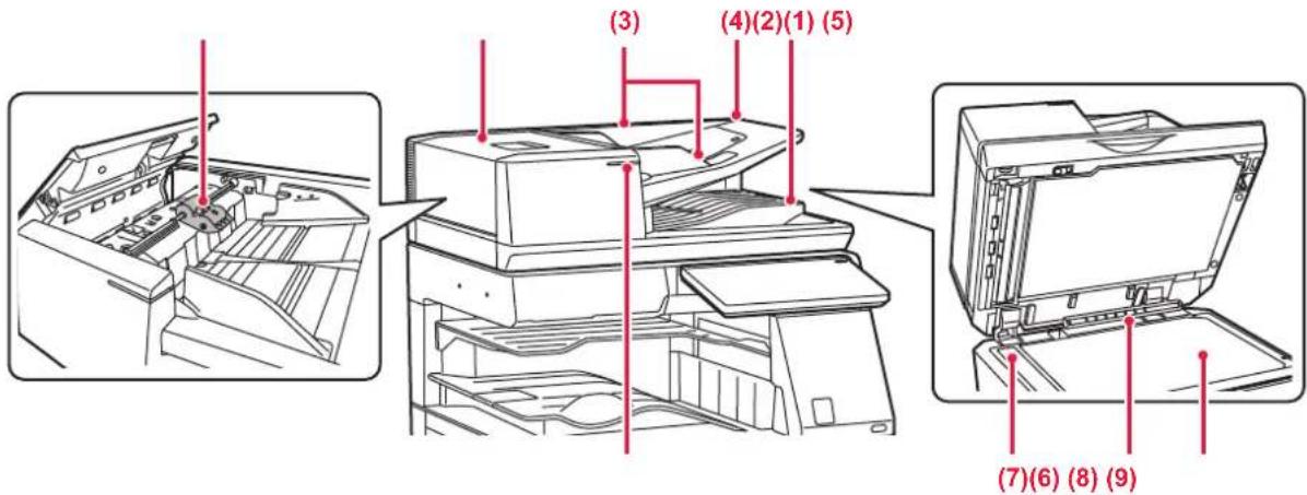 (3) (4)(2)(1) (5) (7)(6) (8) (9)