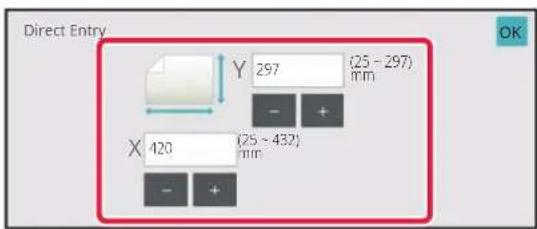 Direct Entry Y 297 (25 - 297) mm X 420 (25 - 432) mm - +