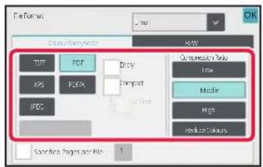 File Format: OK, Classification, PDF, PDFX, XPS, PDFX, Compact, IPDS, OK, Compression Group: Low, Middle, High, Deck to Colors, Save Next Pages and Bits: 1