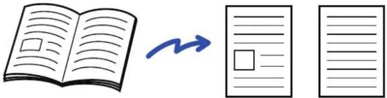 Illustration showing an open book transforming into two blank document sheets with arrows indicating the process.