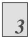 SHARP BP-70M31 - TWO-SIDED PRINTING WITH SPECIFIC PAGES PRINTED ON THE FRONT SIDE (CHAPTER INSERTS) - 2