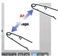 A age
